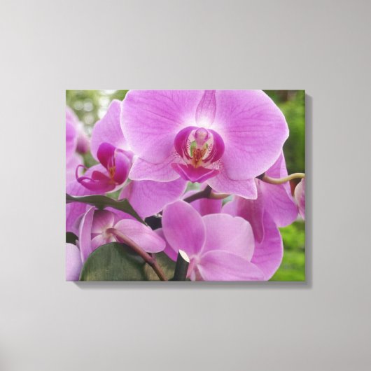 Mooie paarse orchidee in volle bloei. canvas afdruk (Voorkant)