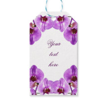 Mooie paarse orchideeën phalaenopsis