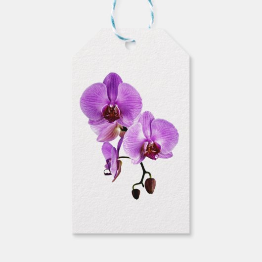 Mooie paarse orchideeën phalaenopsis cadeaulabel (Achterkant)