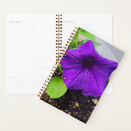 Mooie Paarse Petunia Planner - Originele Foto