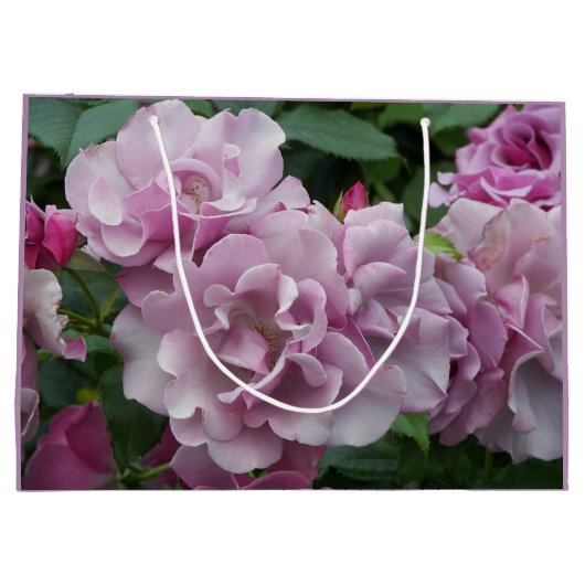 Mooie Paarse Rozen Bloemen Groot Cadeauzakje (Achterkant)