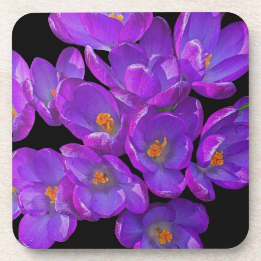 Mooie Paarse Spring Crocuses Bloemen Bier Onderzetter (Voorkant)