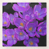 Mooie Paarse Spring Crocuses Bloemen Glazen Onderzetter (Voorkant)
