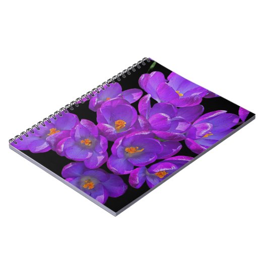 Mooie Paarse Spring Crocuses Bloemen Notitieboek (Linkerzijde)