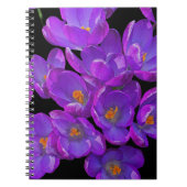 Mooie Paarse Spring Crocuses Bloemen Notitieboek (Voorkant)