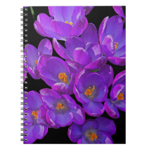 Mooie Paarse Spring Crocuses Bloemen Notitieboek
