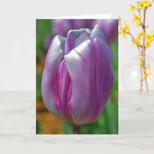 Mooie Paarse Tulip Flower Art Note Kaart (Gele Bloem)