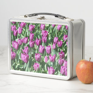 Mooie Paarse Tulpen Bloemen