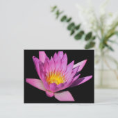 Mooie paarse waterlelie #200Nw 200 Briefkaart (Staand voorkant)