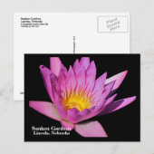 Mooie paarse waterlelie #800Nw 800 Briefkaart (Voorkant / Achterkant)