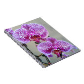 Mooie Paarse White Orchid close-up foto Notitieboek (Rechterzijde)