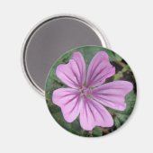 Mooie Paarse Wilde Bloem Magneet (Voorkant / Achterkant)