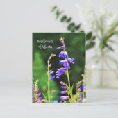 Mooie Paarse wilde bloemen in Bloom Briefkaart (Staand voorkant)
