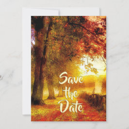 Mooie Pad Herfstbomen Herfst Christelijke bruiloft Save The Date