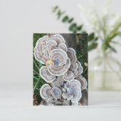 Mooie paddenstoel waanzin briefkaart (Staand voorkant)