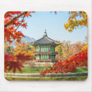 Mooie Pagoda Gyeongbokgung Seoul Korea Muismat