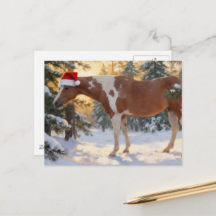 Mooie Paint Horse Merrie Kerstmis  Briefkaart
