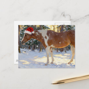 Mooie Paint Horse Merrie Kerstmis  Briefkaart