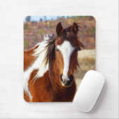 Mooie Paint Horse Mousepad Muismat (Met muis)
