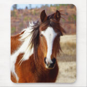 Mooie Paint Horse Mousepad Muismat (Voorkant)