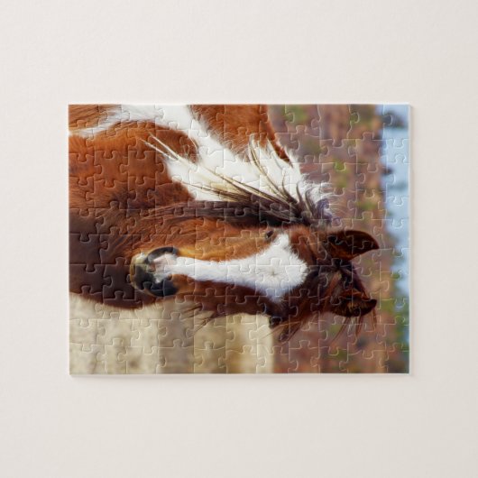 Mooie Paint Horse Puzzle Legpuzzel (Horizontaal)
