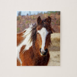 Mooie Paint Horse Puzzle Legpuzzel