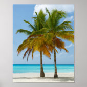 Mooie palmbomen op een tropisch strand poster (Voorkant)