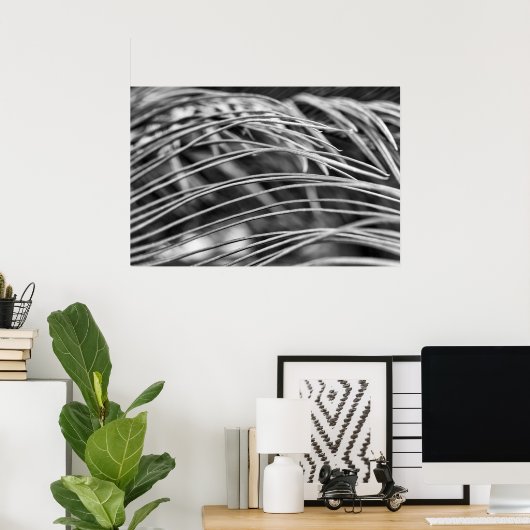 Mooie palmboombladeren poster (Thuiskantoor)