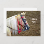 Mooie Palomino paard foto Dank u Briefkaart (Voorkant / Achterkant)