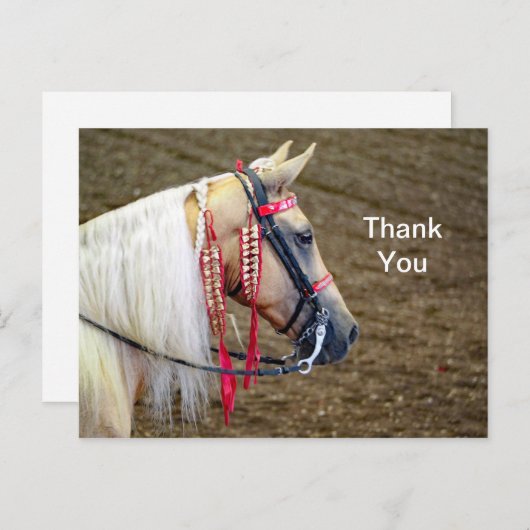 Mooie Palomino paard foto Dank u Briefkaart (Voorkant / Achterkant)