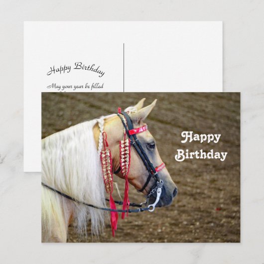 Mooie Palomino Paard Foto Verjaardag Briefkaart (Voorkant / Achterkant)
