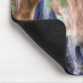 Mooie palomino-verf paard en vertakkingen in regen muismat (Hoek)