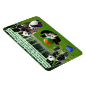 Mooie Panda Schrift magneet psalmen 16:11 (Rechterzijde)