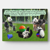 Mooie Panda Schrift Plaque Psalmen 16:11 Fotoplaat (voorkant)