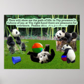 Mooie Panda Schrift Poster Psalmen 16:11 (Voorkant)