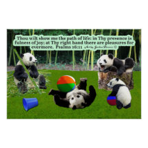 Mooie Panda Schrift Psalmen 16:11: Glanzend