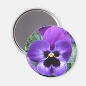 Mooie Pansy Magnet (Voorkant / Achterkant)