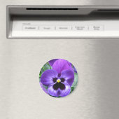 Mooie Pansy Magnet (Insitu (Vaatwasser))