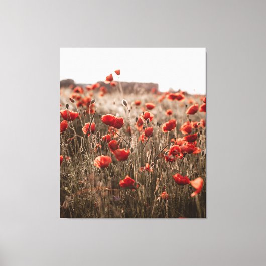 Mooie papaverbloemen canvas afdruk (Voorkant)