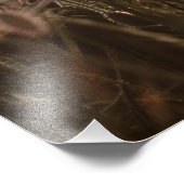 Mooie papaverbloemen foto afdruk (Hoek)