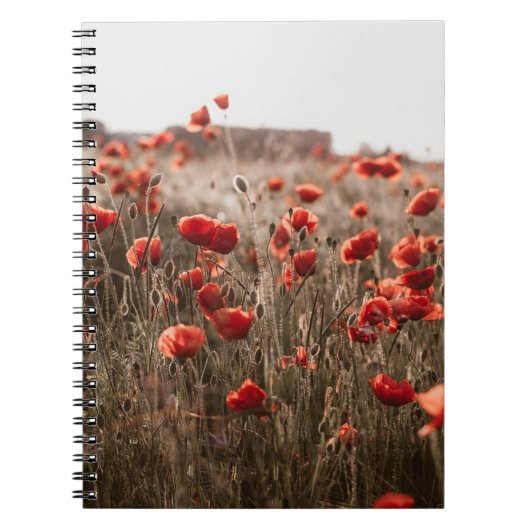 Mooie papaverbloemen notitieboek (Voorkant)