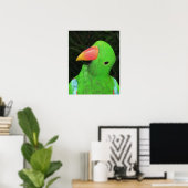Mooie papegaai poster (Thuiskantoor)