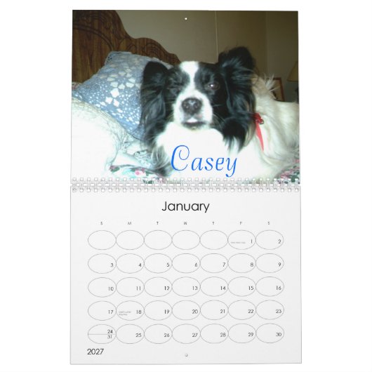Mooie Papillons, 2007 Kalender (Jan 2027)