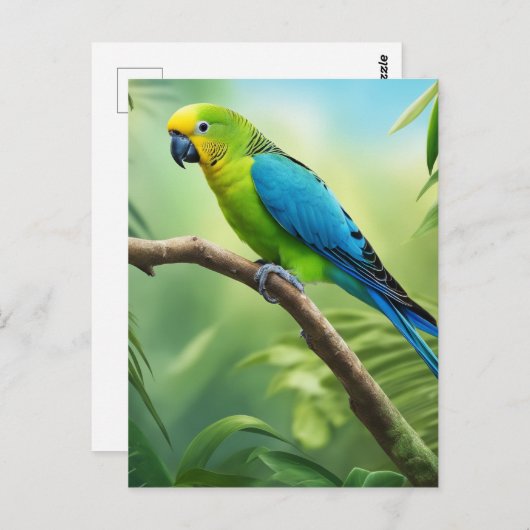 Mooie Parkiet in het Oerwoud Briefkaart (Voorkant / Achterkant)