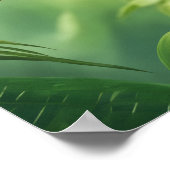 Mooie Parkiet in het Oerwoud Poster (Hoek)