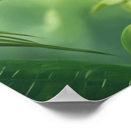 Mooie Parkiet in het Oerwoud Poster (Hoek)