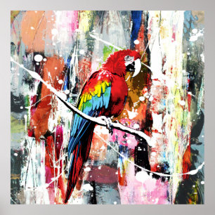 Mooie Parrot Poster