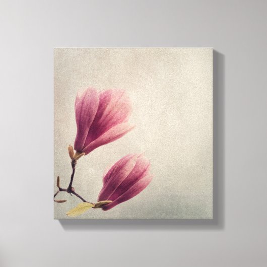 Mooie pastel magnolia bloem canvas afdruk (Voorkant)