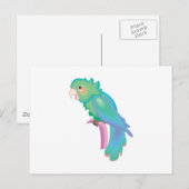 mooie pastel papegaai briefkaart (Voorkant / Achterkant)