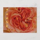 Mooie Pastelroos Close-up Bedankkaart Briefkaart (Voorkant)